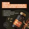 Myrobalan Vira.18  immunerősítő gyógynövény kapszula 60 db