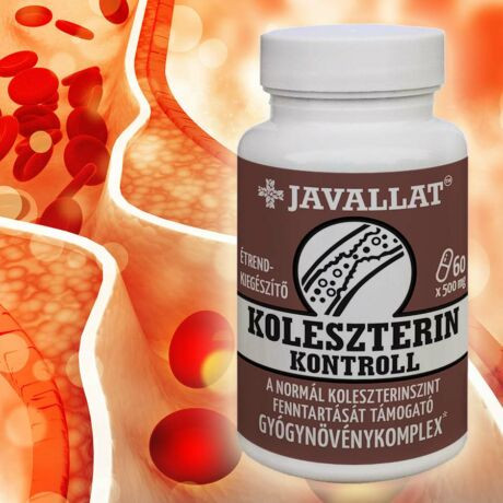 JAVALLAT® –; KOLESZTERIN KONTROLL 60db-os kapszula